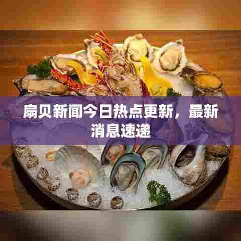 扇贝新闻今日热点更新，最新消息速递