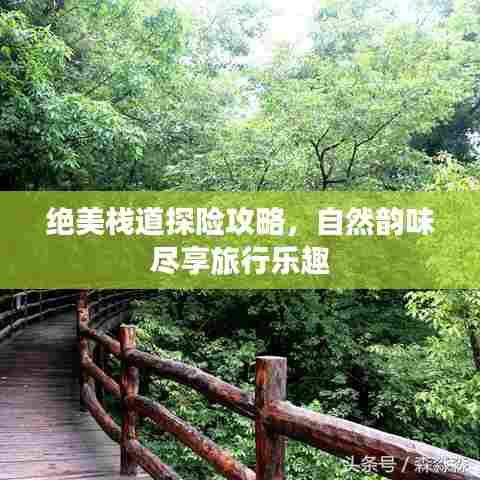 绝美栈道探险攻略，自然韵味尽享旅行乐趣