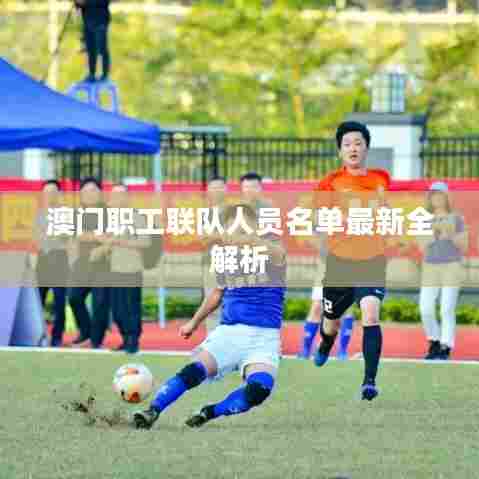 澳门职工联队人员名单最新全解析