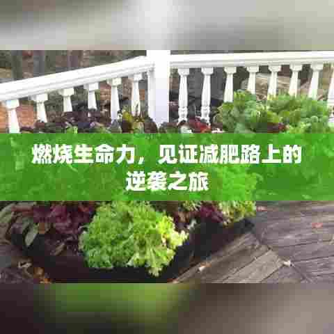 巧舌如簧 第6页