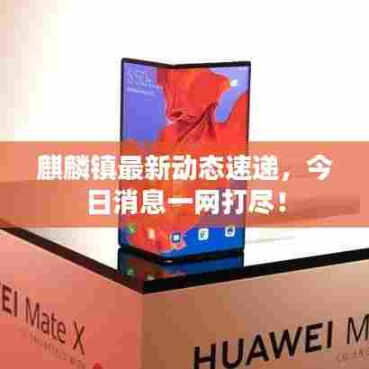 张弓拔弩 第7页