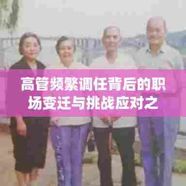 高管频繁调任背后的职场变迁与挑战应对之道