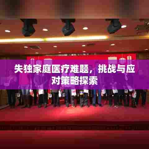 失独家庭医疗难题，挑战与应对策略探索
