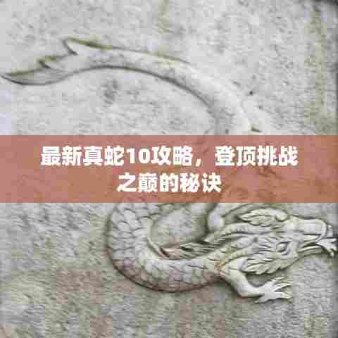 最新真蛇10攻略，登顶挑战之巅的秘诀