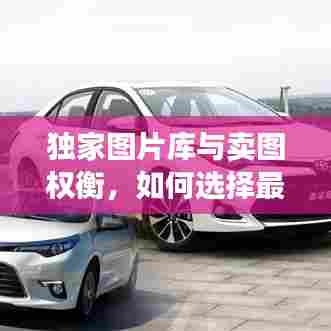 独家图片库与卖图权衡，如何选择最优策略？