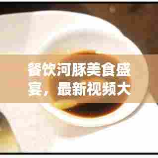 餐饮河豚美食盛宴，最新视频大全集，烹饪艺术与美食探索之旅