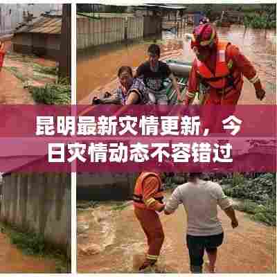 昆明最新灾情更新，今日灾情动态不容错过