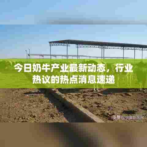 今日奶牛产业最新动态，行业热议的热点消息速递