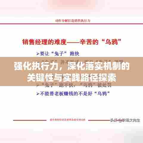 强化执行力，深化落实机制的关键性与实践路径探索