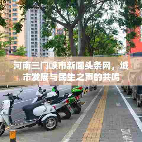 河南三门峡市新闻头条网，城市发展与民生之声的共鸣
