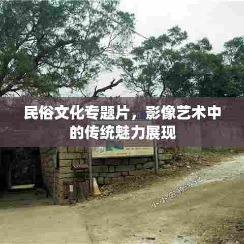 民俗文化专题片，影像艺术中的传统魅力展现
