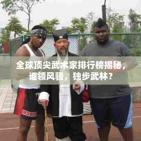 全球顶尖武术家排行榜揭秘，谁领风骚，独步武林？