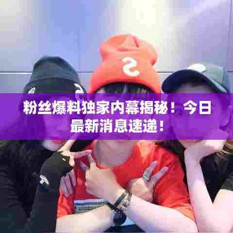 粉丝爆料独家内幕揭秘！今日最新消息速递！