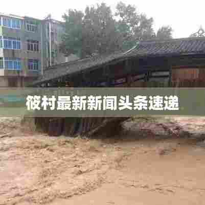 筱村最新新闻头条速递