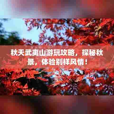 秋天武夷山游玩攻略，探秘秋景，体验别样风情！