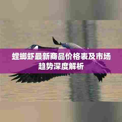螳螂虾最新商品价格表及市场趋势深度解析
