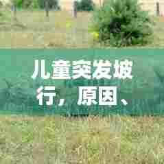 儿童突发坡行，原因、表现及应对攻略