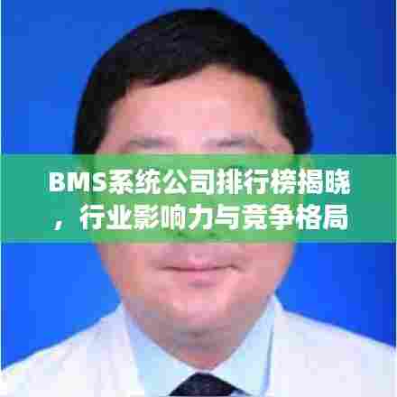 BMS系统公司排行榜揭晓，行业影响力与竞争格局一网打尽