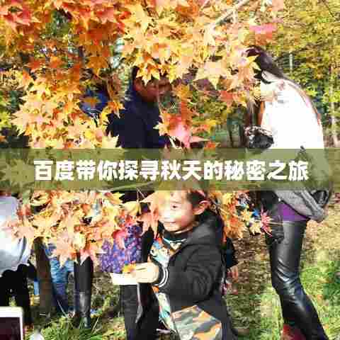 百度带你探寻秋天的秘密之旅