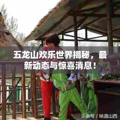 五龙山欢乐世界揭秘，最新动态与惊喜消息！