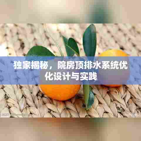 独家揭秘，院房顶排水系统优化设计与实践