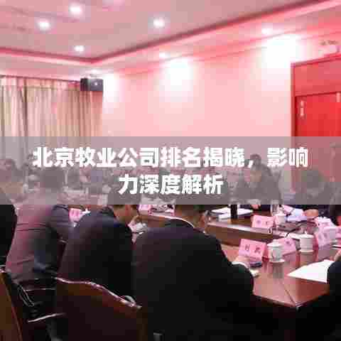 北京牧业公司排名揭晓，影响力深度解析