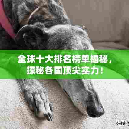 全球十大排名榜单揭秘，探秘各国顶尖实力！