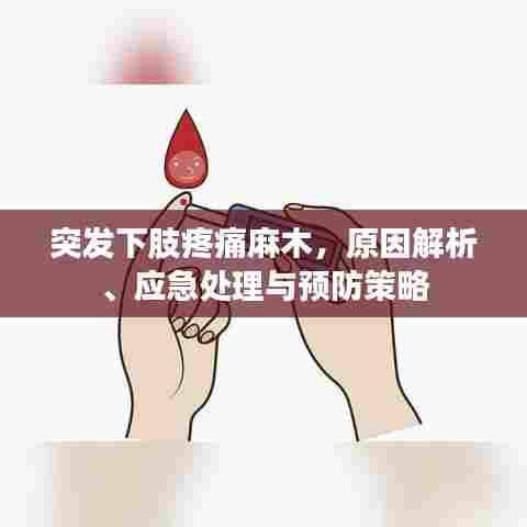 突发下肢疼痛麻木，原因解析、应急处理与预防策略