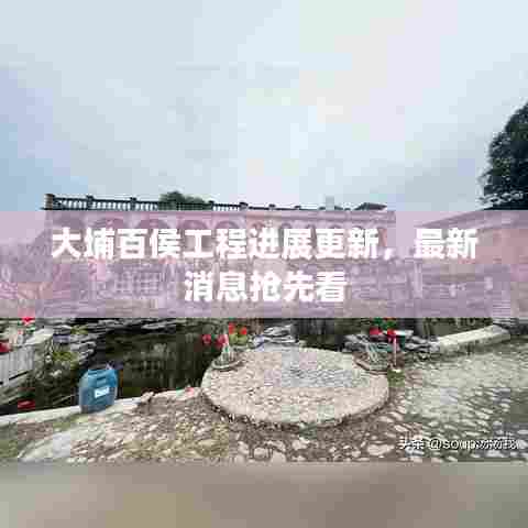 大埔百侯工程进展更新，最新消息抢先看