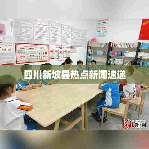 四川新坡县热点新闻速递