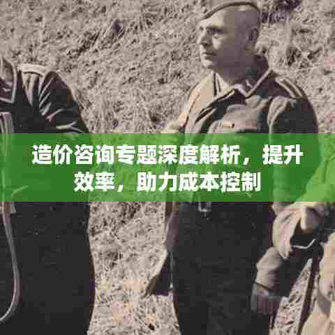 造价咨询专题深度解析，提升效率，助力成本控制