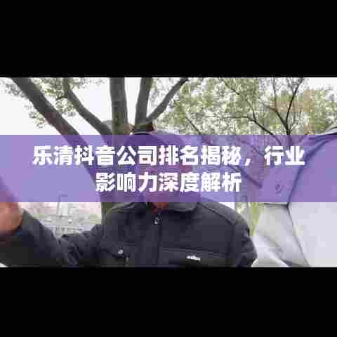 乐清抖音公司排名揭秘，行业影响力深度解析