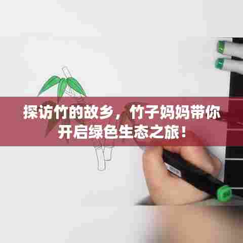 探访竹的故乡，竹子妈妈带你开启绿色生态之旅！