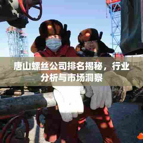 唐山螺丝公司排名揭秘，行业分析与市场洞察