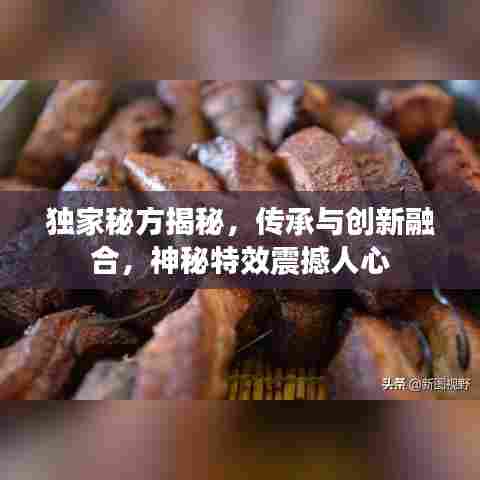 独家秘方揭秘，传承与创新融合，神秘特效震撼人心