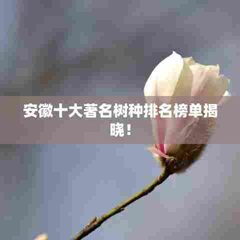 安徽十大著名树种排名榜单揭晓！