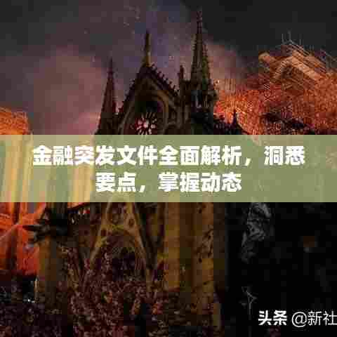 金融突发文件全面解析，洞悉要点，掌握动态