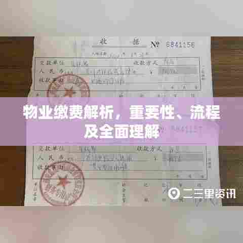 物业缴费解析，重要性、流程及全面理解