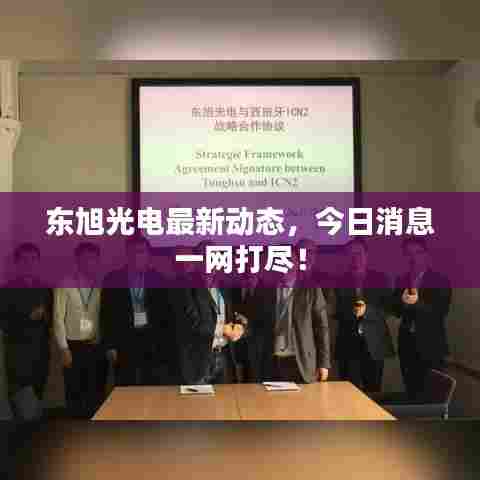 东旭光电最新动态，今日消息一网打尽！