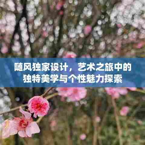 随风独家设计，艺术之旅中的独特美学与个性魅力探索