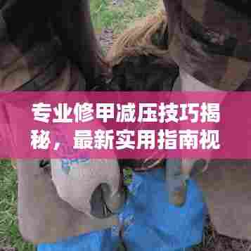 专业修甲减压技巧揭秘，最新实用指南视频
