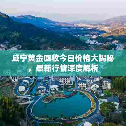 咸宁黄金回收今日价格大揭秘，最新行情深度解析