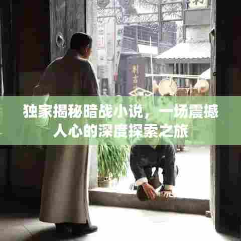 独家揭秘暗战小说，一场震撼人心的深度探索之旅