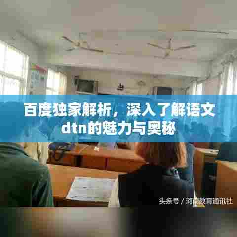 百度独家解析，深入了解语文dtn的魅力与奥秘