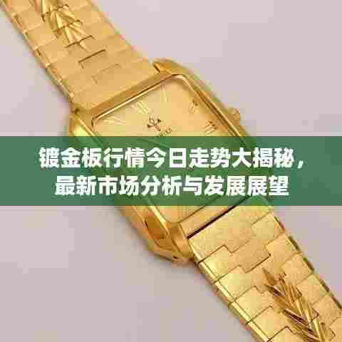 镀金板行情今日走势大揭秘，最新市场分析与发展展望