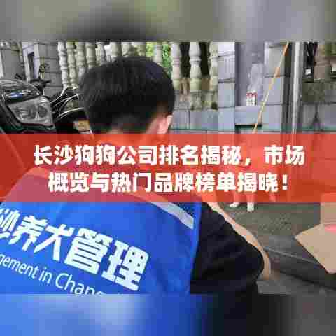 长沙狗狗公司排名揭秘，市场概览与热门品牌榜单揭晓！