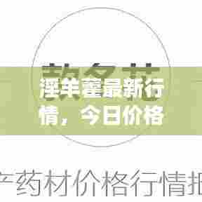 淫羊藿最新行情，今日价格及市场走势分析