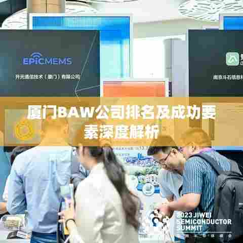 厦门BAW公司排名及成功要素深度解析