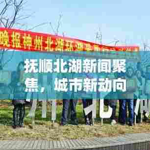 抚顺北湖新闻聚焦，城市新动向与发展活力