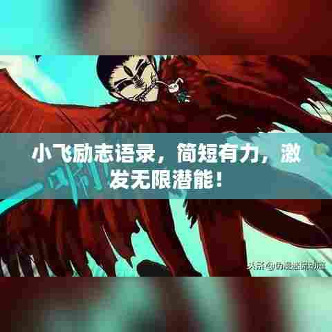 小飞励志语录，简短有力，激发无限潜能！